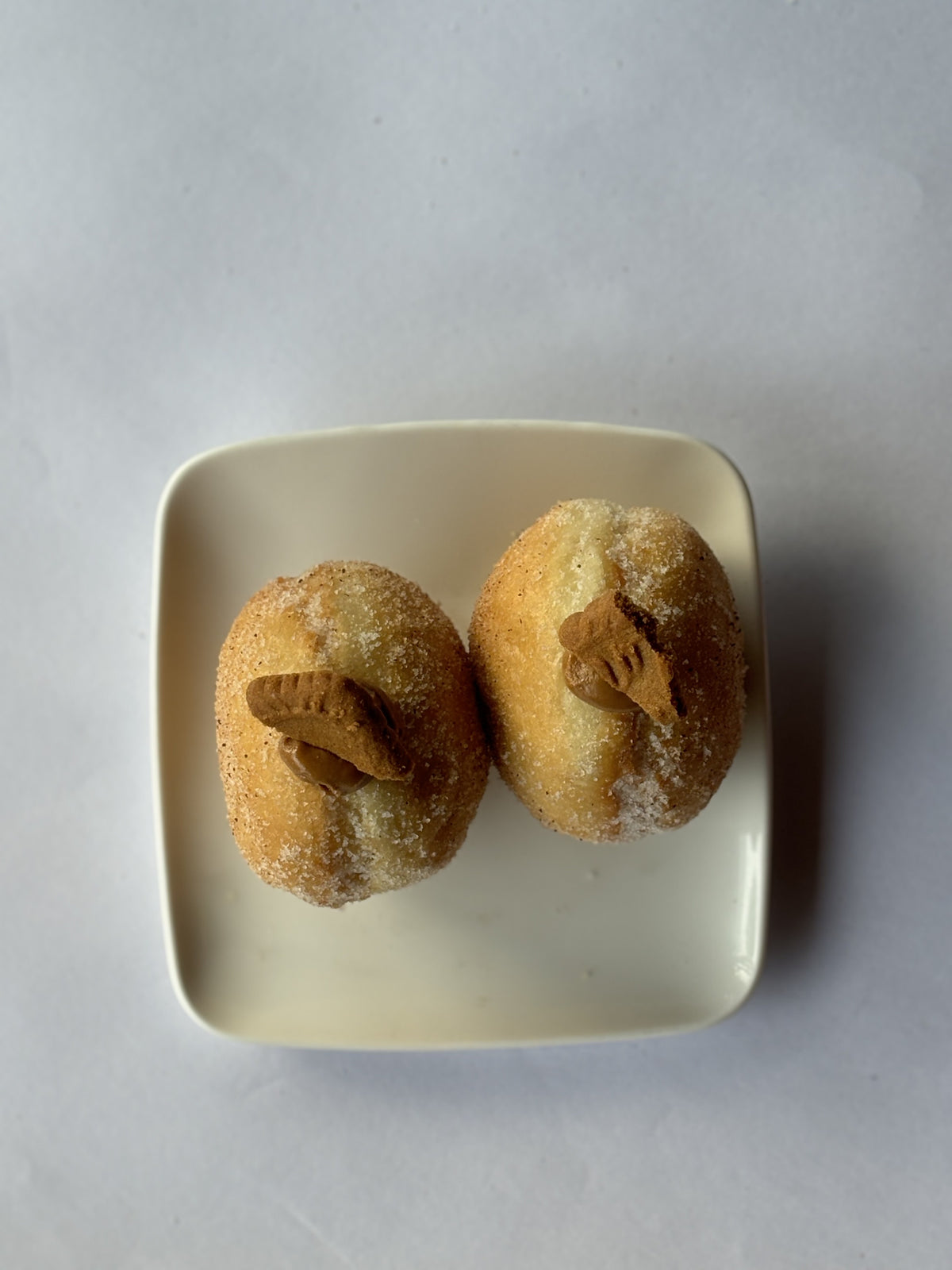 Dougnu Devta Buy Fluffy Biscoff Doughnuts | Whisk A Wish Delhi